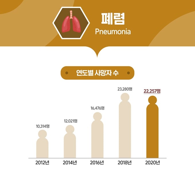 폐렴 증상