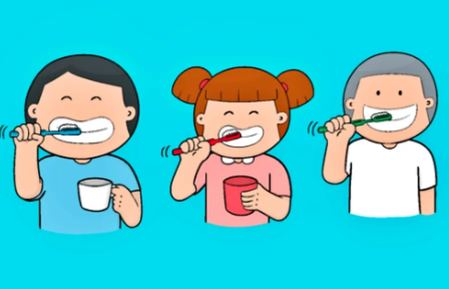 치아 관리 방법