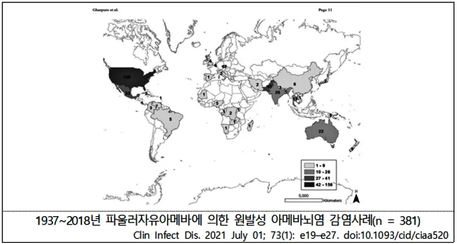 뇌먹는 아메바 증상