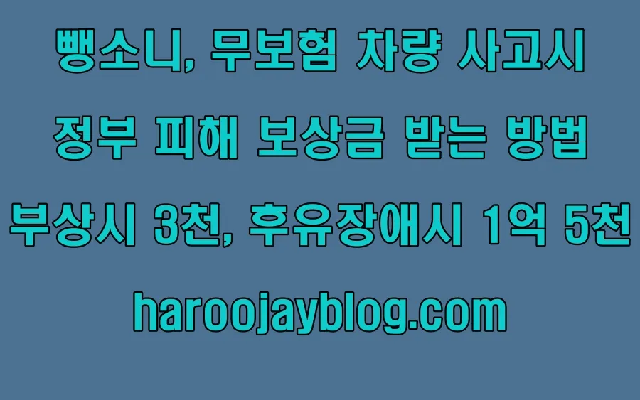 뺑소니 무보험